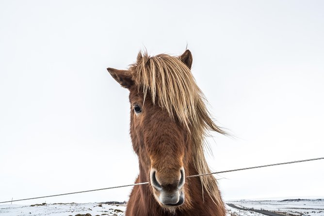 Small-Group Golden Circle Full-Day Tour From Reykjavik - Recommended Items to Bring