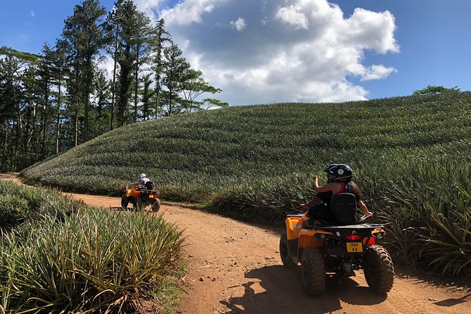 Small-Group Half-Day All-Terrain Vehicle Tour in Moorea - Reviews and Ratings Overview