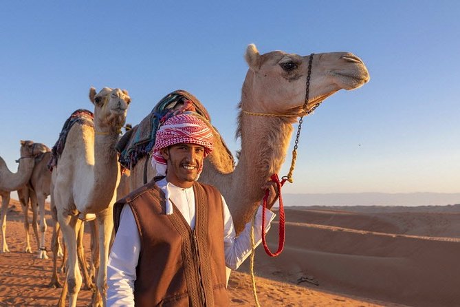 Small-Group Half-Day Dubai Desert Adventure Tour - Traveler Experiences and Reviews