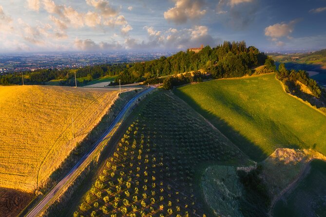 Small-Group Half-Day Wine Tour With Tasting in Dozza Village - Additional Information