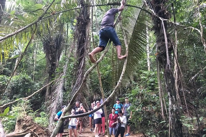 Small-Group Jungle Hiking Excursion in Khao Phra Teaw Park - Overall Experience