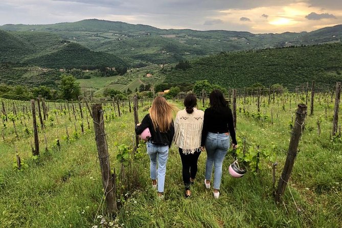 Small Group Wine Tasting in Tuscany With Vineyard Visit - Booking Information