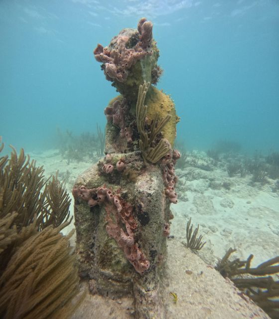 Snorkel Paradise Cancun and Underwater Museum in Nizuc - Additional Costs and Services