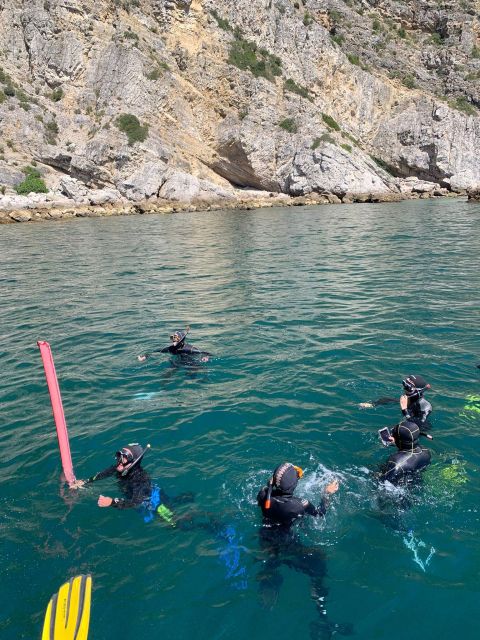 Snorkeling in Sesimbra - Experience Highlights