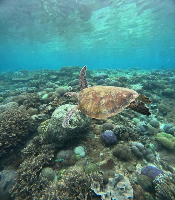 Snorkeling Nusapenida - Best Part Swim With the Mantarays - Itinerary and Optional Activities