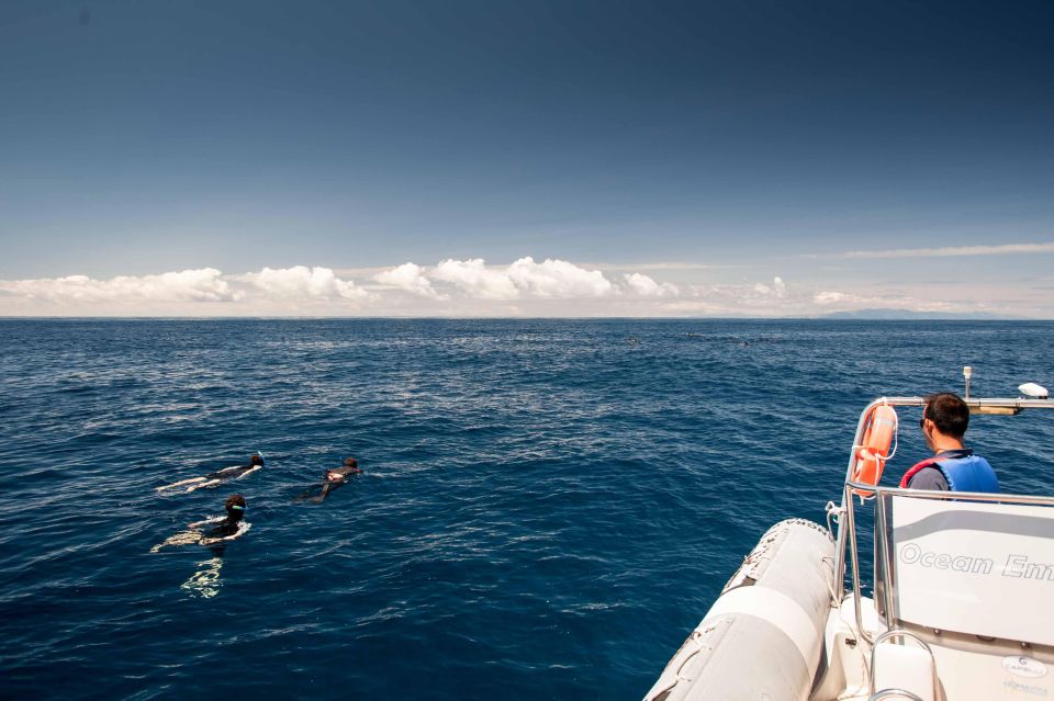 Snorkeling Wildlife in Terceira Island - Inclusive Equipment Provision