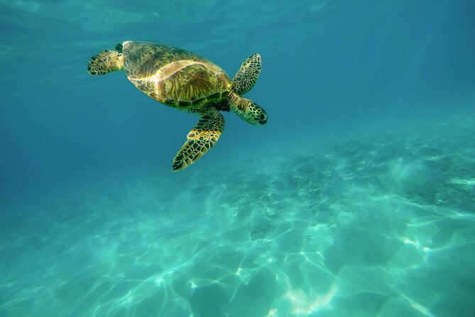 Snorkeling With Sea Turtles in Mirissa (Pickup and Drop Included) - Additional Location Information