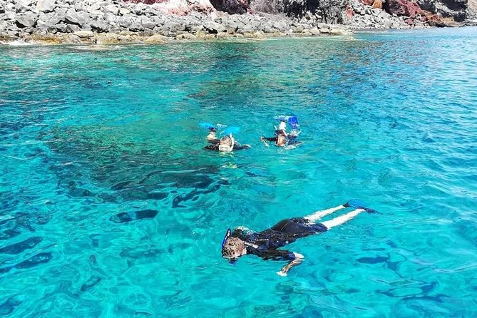 Snorkelling Trip Marine Reserve of Garajau - Maximum Traveler Group Size