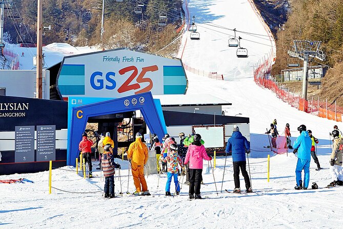 Snow or Ski Day Trip to Elysian Ski Resort From Seoul - No Shopping - Additional Services