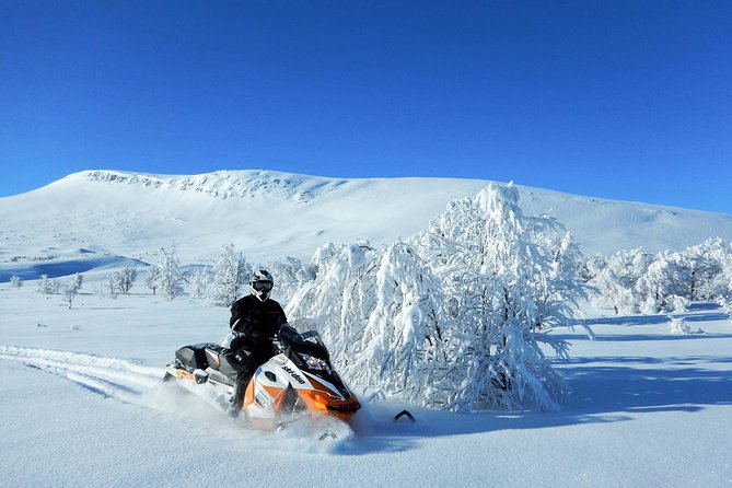 Snowmobile Adventure in Swedish Lapland (Day Tour) - Gear and Equipment Provided