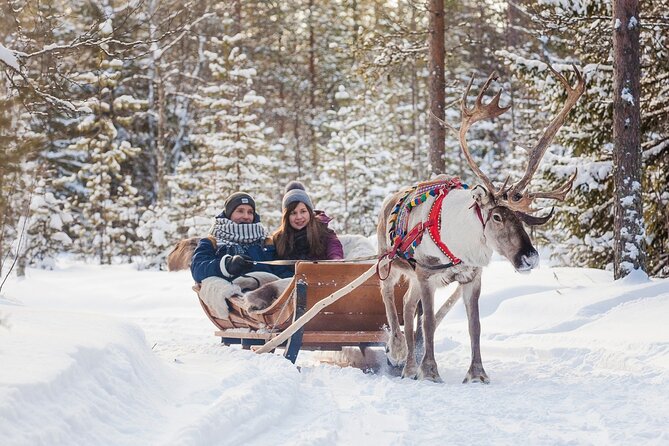 Snowmobile & Animals Day Tour - Last Words