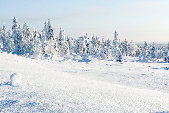 Snowmobile Driving - Afternoon Start - Post-Ride Refreshments and Relaxation