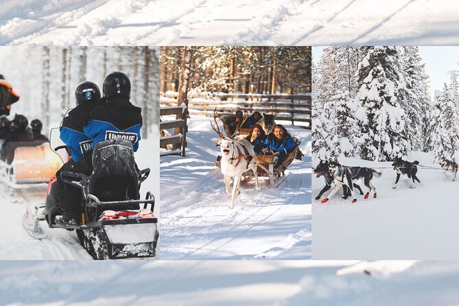 Snowmobile, Reindeer and Husky Combo in Rovaniemi - Understanding Safety Guidelines and Requirements