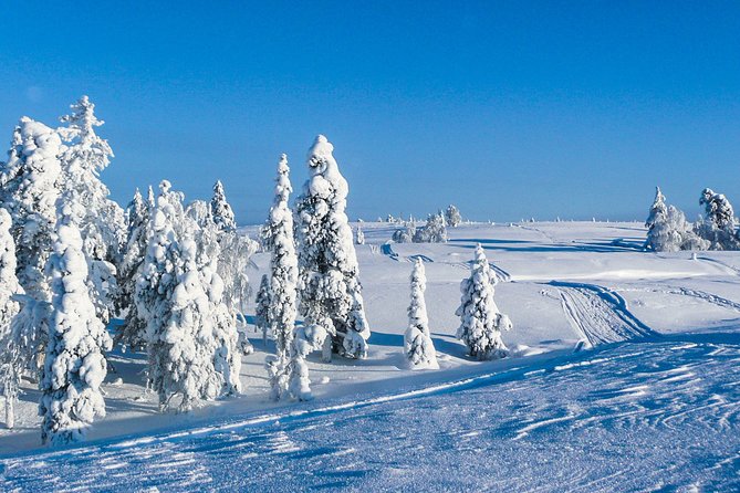 Snowmobile Safari in the Nature - Afternoon Start - Last Words