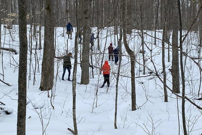 Snowshoe Awenda Provincial Park on Beautiful Georgian Bay - Wildlife Spotting