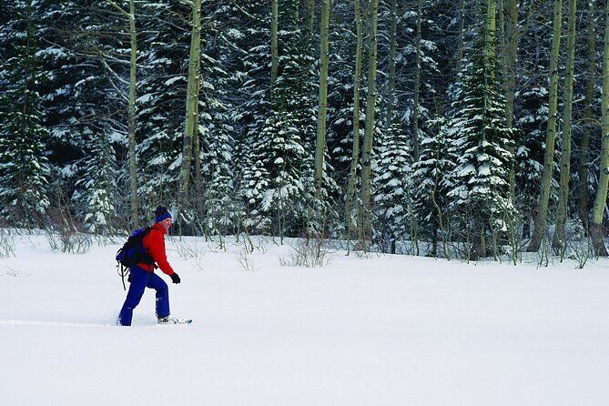 Snowshoe Rental at Tremblant - Cost Breakdown and Copyright Information