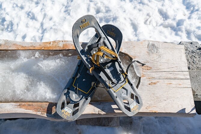 Snowshoe Tour Wetterhorn Grindelwald - Common questions