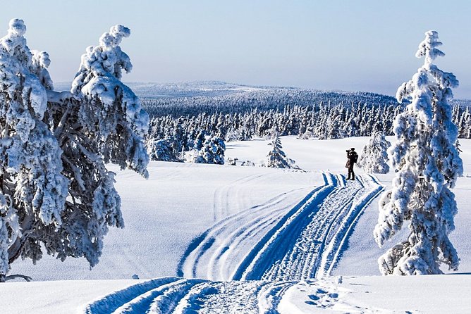 Snowshoe Trip Searching for Arctic Animals From Kemi - Common questions