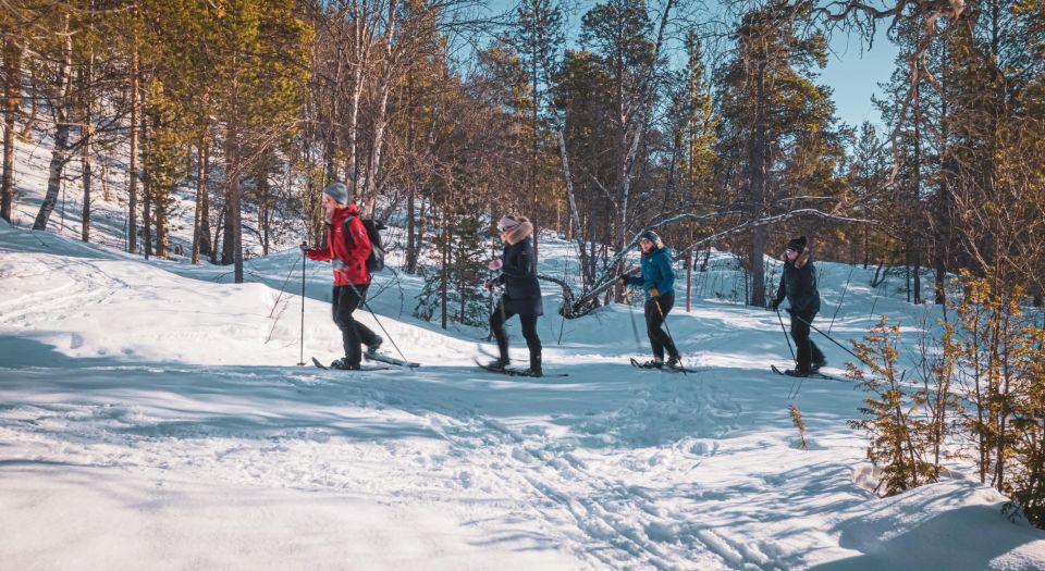 Snowshoeing Adventure to the Enchanting Frozen Waterfall - Explore the Gargia Valley