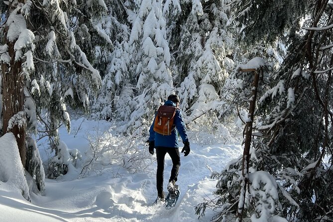 Snowshoeing at The Top of The Sea to Sky Gondola - Booking Information and Tips