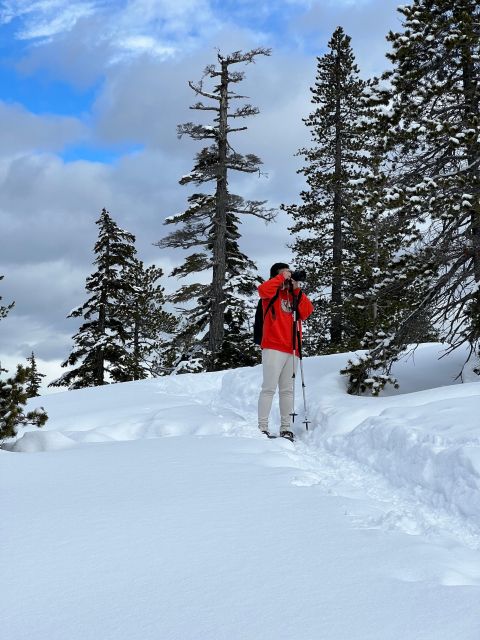 Snowshoeing At The Top Of The Sea To Sky Gondola - Adventure Description