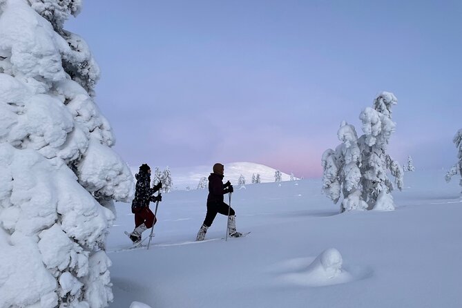 Snowshoeing in Pallas-Yllästunturi National Park - Last Words