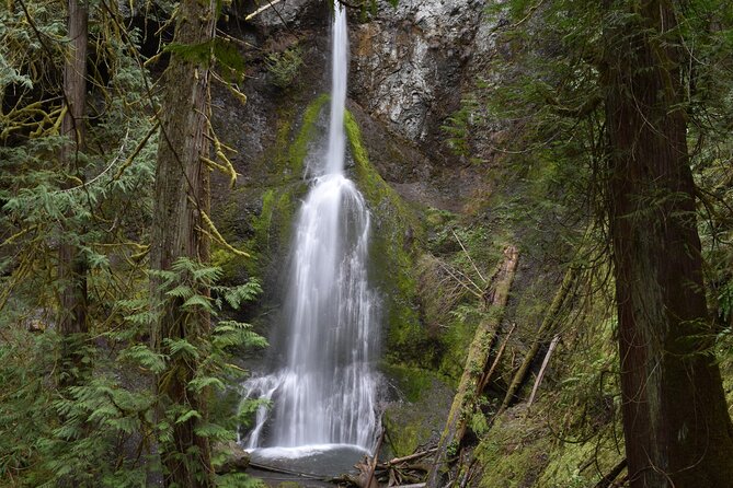 Sol Duc, Lake Crescent, and Hurricane Ridge Guided Tour in Olympic National Park - Traveler Reviews