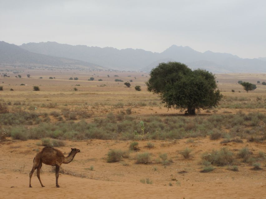 Souss-Massa National Park: Full Day Jeep Tour With Lunch - Local Culture Exploration