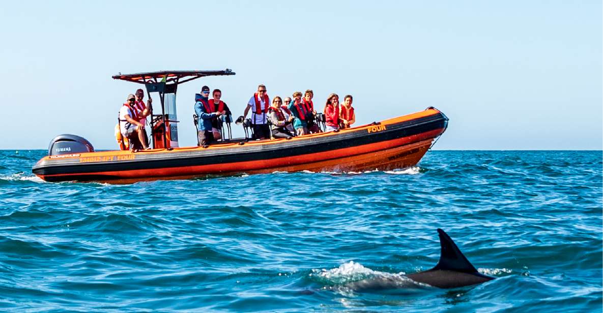 South Route: Dolphin Watching - Additional Information