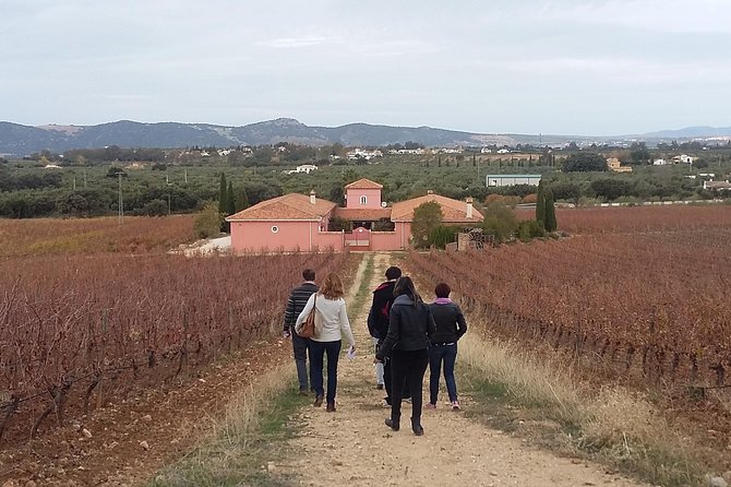 Spain Private Wine Tour to Ronda From the Costa Del Sol  - Marbella - Common questions