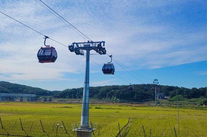 Special DMZ Tour With New Arrivals From North Korea - Visitor Arrangements