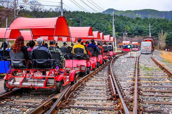 Special Private Tour Nami Island, Rail Bike, Petite France - Group Size Options