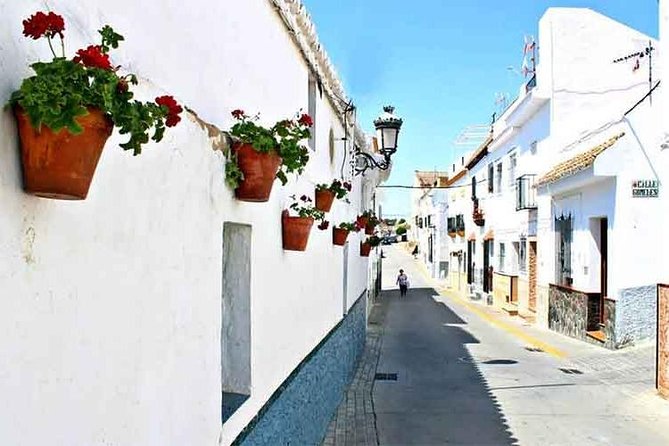 Spend a Day in the White Villages From Cadiz - Common questions