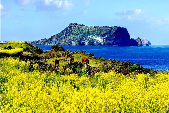 Spring 6 Days Cherry Blossom Jeju&Busan&Jinhae&Gyeongju on 31 Mar to 10 Apr - Tour Itinerary