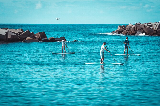 Stand Up Paddle Private Lesson in Calheta Beach - Booking Information