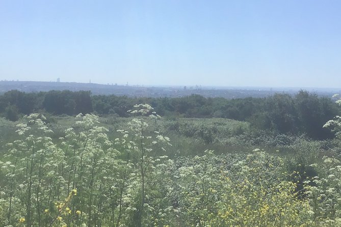 Stanmore Circular Private Walking Tour - Safety Measures for COVID-19