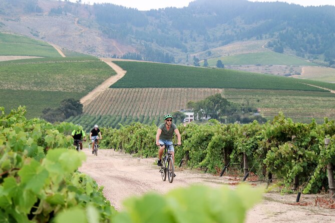 Stellenbosch Half Day Winelands Cycle Tour - Contact and Product Code