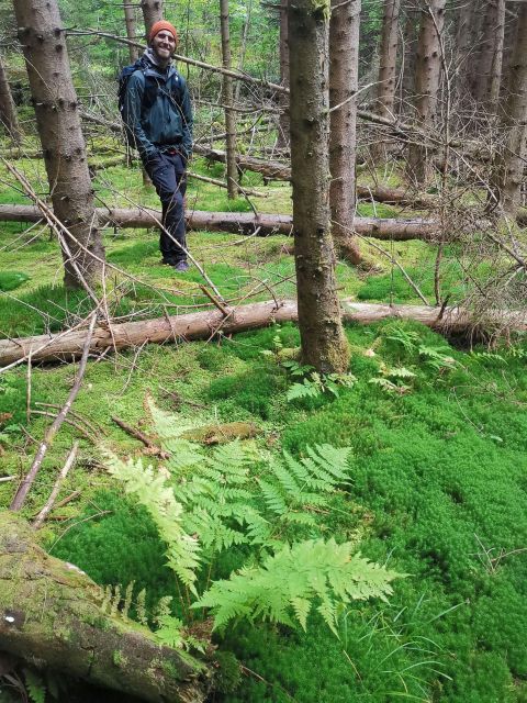 Step Out of the Busy Everyday Life With Forest Bathing - Understanding the Guided Forest Walk