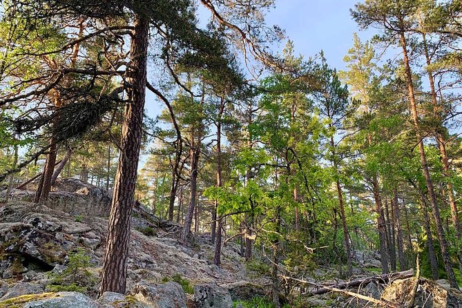 Stockholm Eco-Friendly Sunset Hike And Wildlife Spotting (Apr ) - Last Words