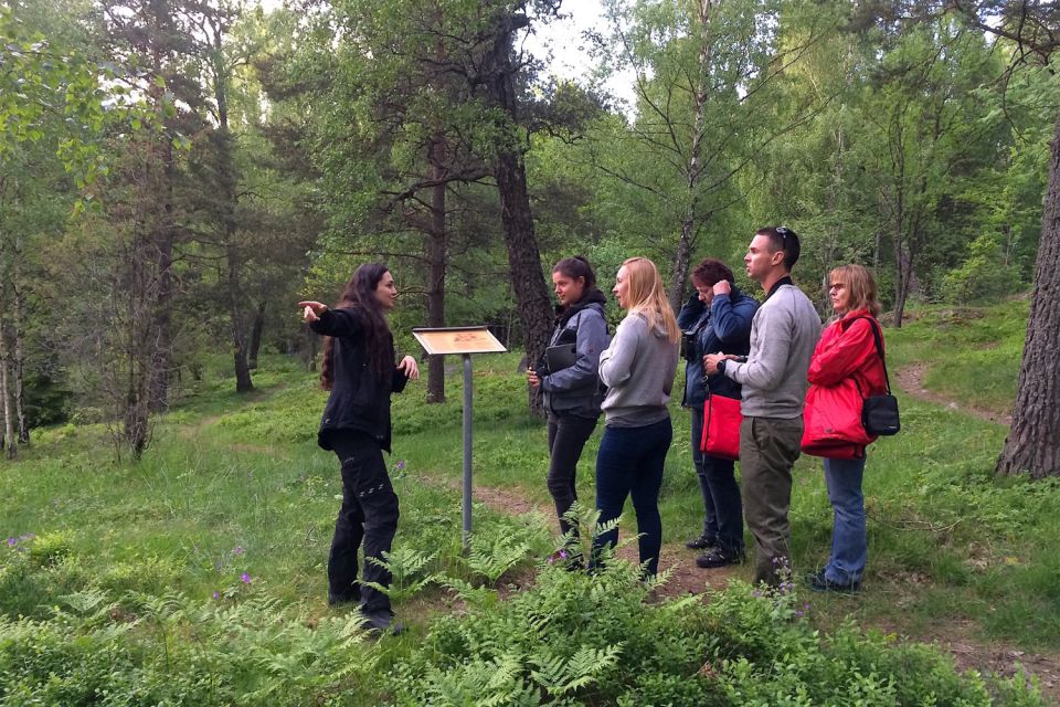 Stockholm: Evening Wildlife Safari With Midsummer Meal - Review Summary