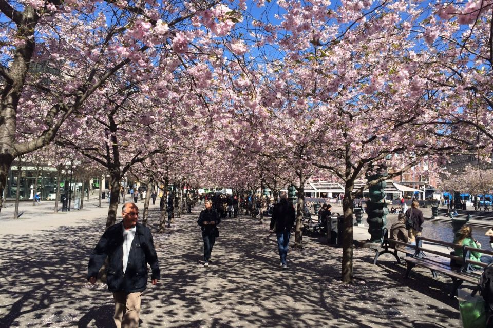 Stockholm: First Discovery Walk and Reading Walking Tour - Customer Feedback