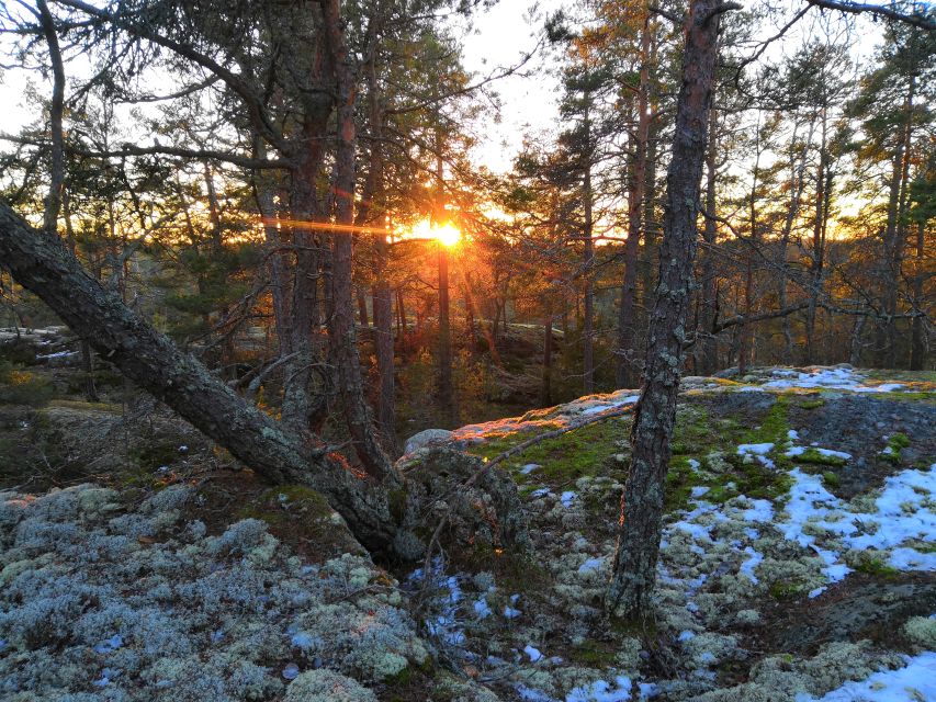 Stockholm: Winter Nature Hike With Campfire Lunch - Reservation Options