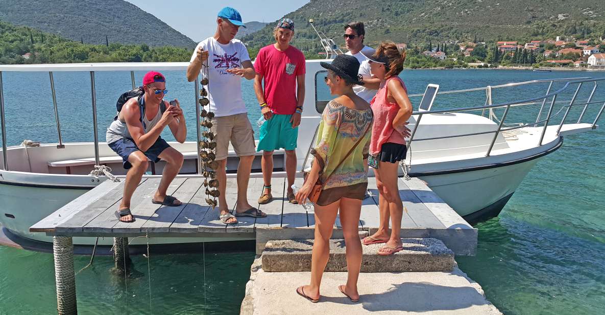 Ston Oyster Tasting Private Tour From Dubrovnik - Activities and Sightseeing