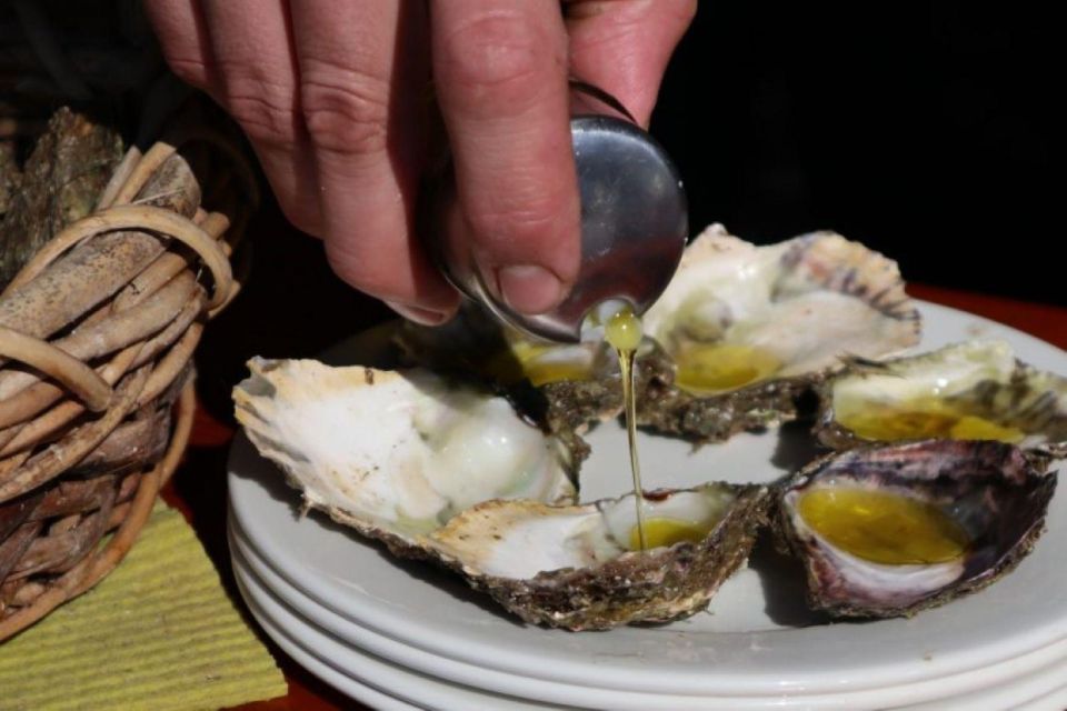 Ston Oysters and Wine Tasting Tour From Dubrovnik - Itinerary and Activities