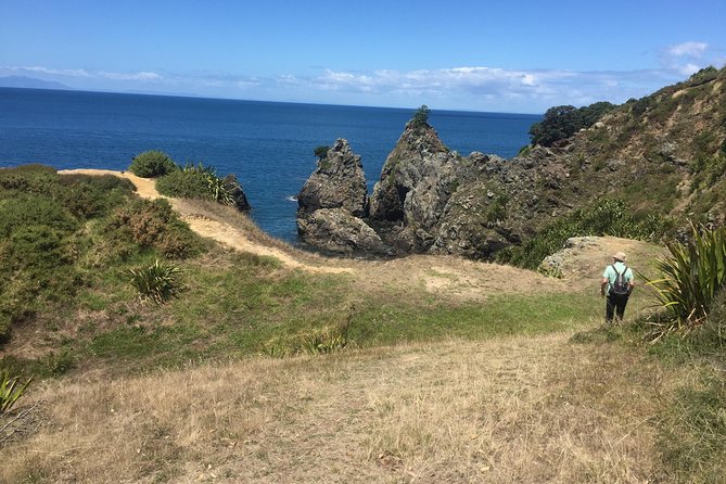 Stunning Auckland East Coast Walk & Wine Private Tour - Scenic Coastal Walk