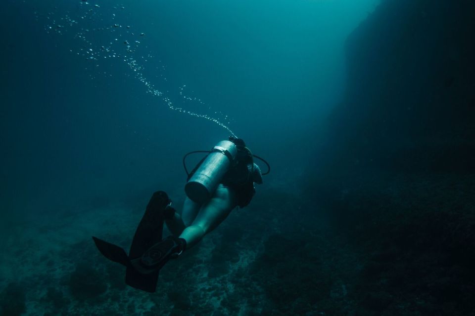 Submerge Into Adventure: Scuba Diving in Marietas Island - Full Description of the Adventure