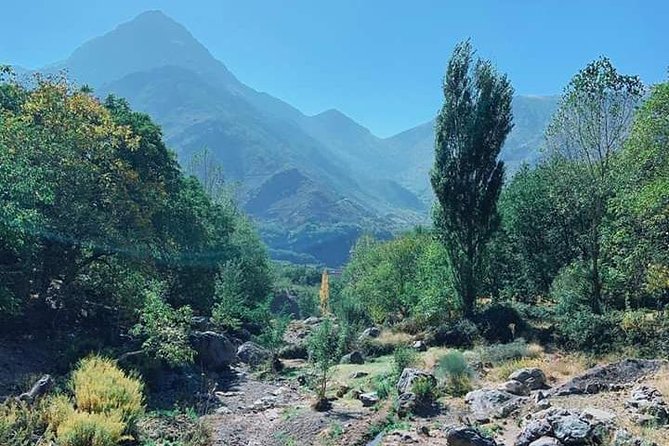 Summiting The Atlas Mountains Private Day Hike From Marrakech - Expert Guide and Group Size