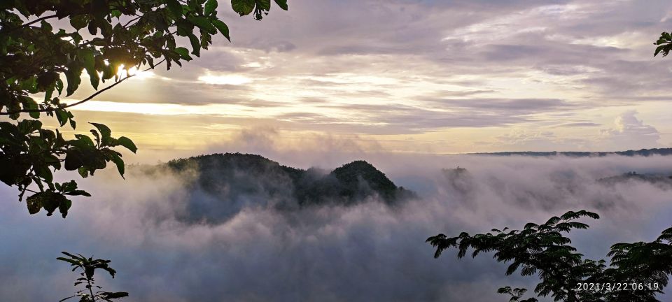 Sunrise Panguk Kediwung,Pine Forest & Timang Beach Tour - Eco Tourism Jurang Tembelan, Pine Forest