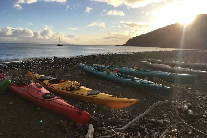 Sunrise Sea Kayaking Tour in Auckland - Additional Information