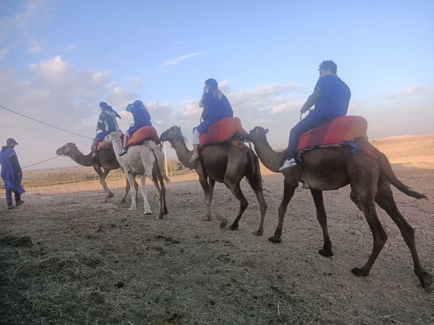 Sunset Camel Ride In Agafay Desert With Dinner - Dinner Experience